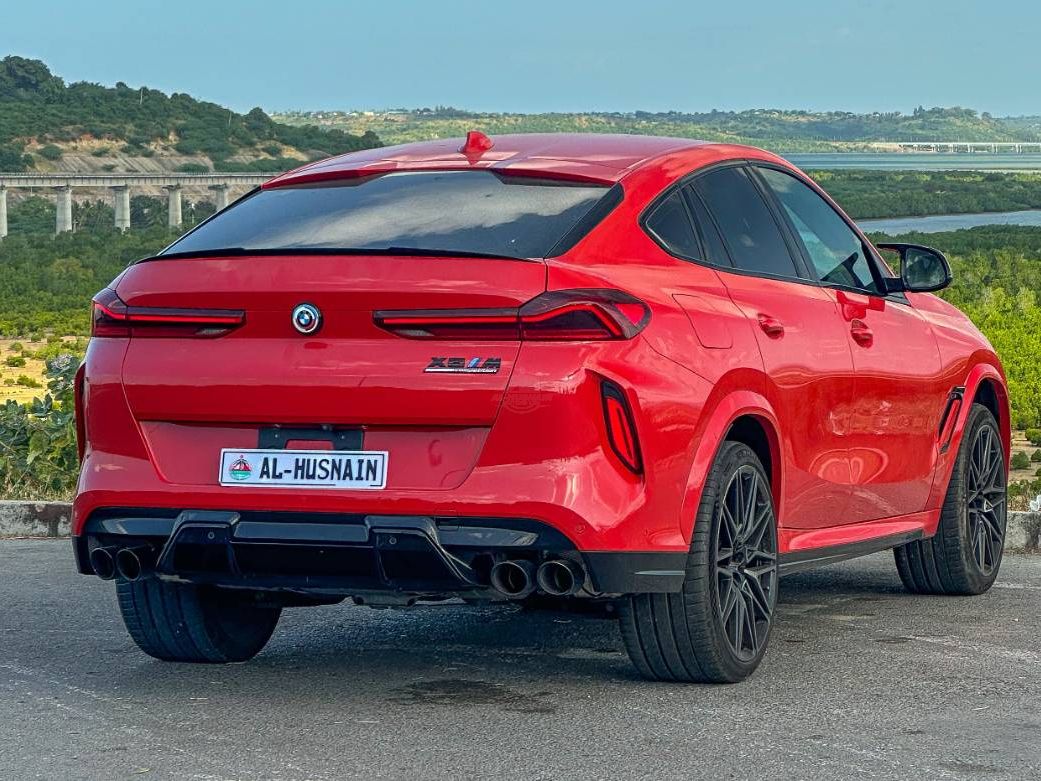 2020 BMW X6