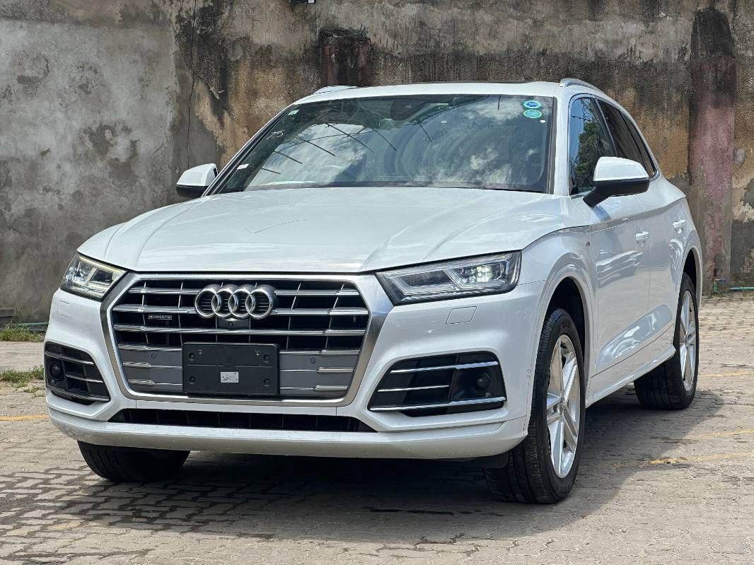 2019 Audi Q5