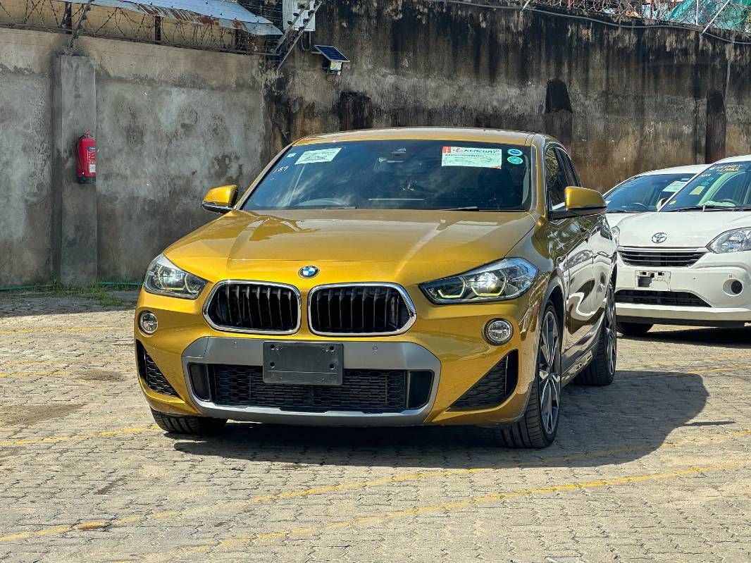 2019 BMW X2