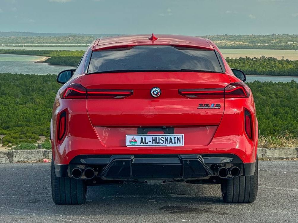 2020 BMW X6