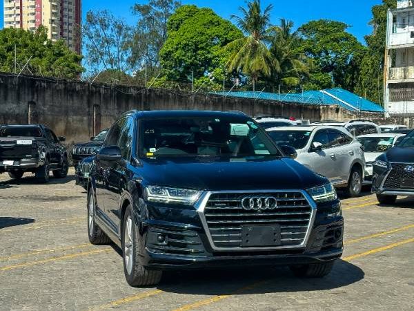 2019 Audi Q7